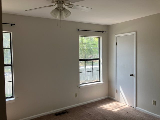Gallery Photo 4